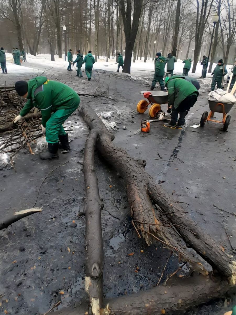 Центральний парк Харкова під обстрілом: наслідки атаки (фото)